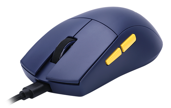Z590